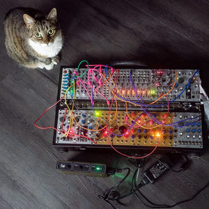 Tabby cat beside a portable Eurorack modular case on a wooden floor with colorful patch cables lit